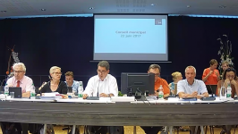 Ville de Mulhouse - Conseil Municipal du 22 juin 2017