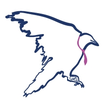 Simplifiez-vous la vidéo !